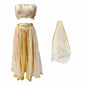 Golden Egyptian Princess Costume Elegant Sparkling Fabric Outfit